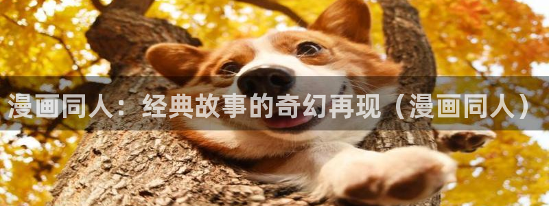 哔咔漫画免费网站