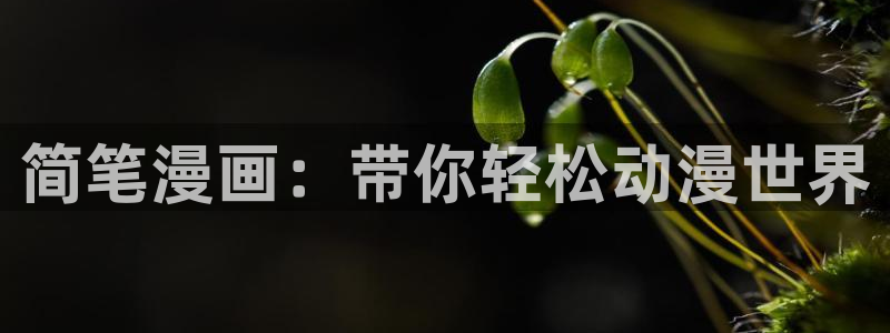 哔咔漫画app下载官网免费