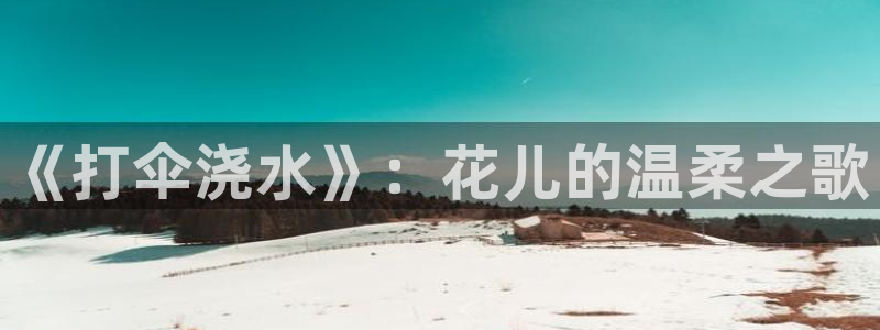 哔咔漫画下载不了