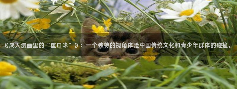 哔咔哔咔漫画加速器