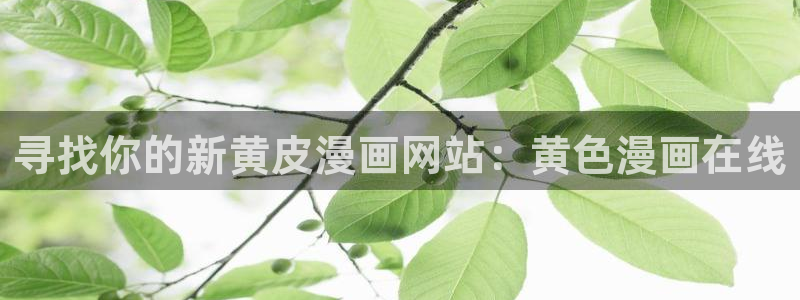 哔咔漫画下载不了