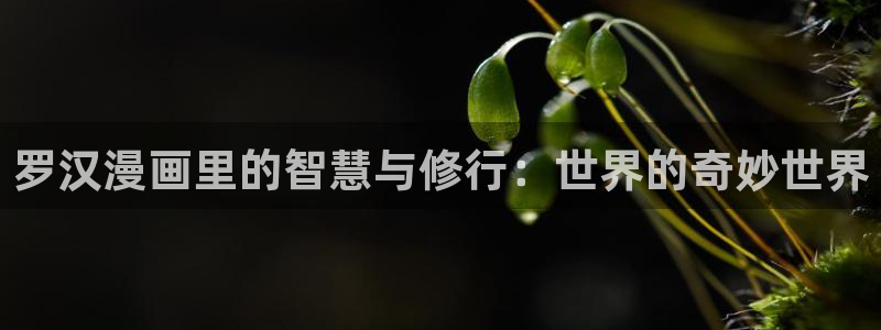 哔咔漫画热门漫画有哪些